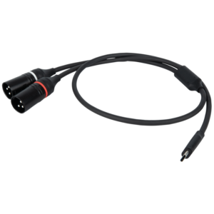 DAP FL112 - USB-C to 2 XLR/M 3P 0.75 m