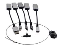 Prokord Premium Videoadapter-kit DisplayPort / HDMI / USB Sort Grå