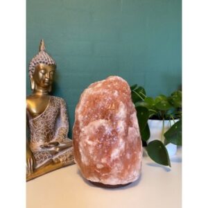 Salt krystal Lampe - Large XXXL - Lamper - GodKarmaShop
