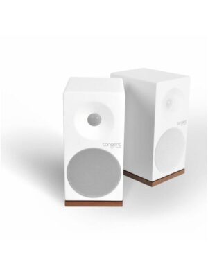 Tangent Ampster II X4 - micro system