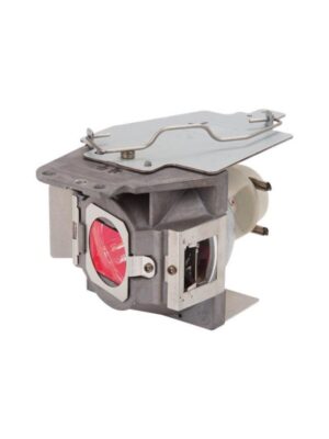 ViewSonic RLC-079 - projector lamp