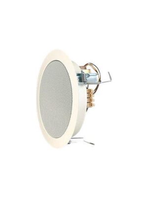 Visaton DL 18/1 100 V - speaker