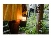 Pure Woodland Glow - Højttaler - til transportabel brug - trådløs - Bluetooth - 20 Watt - grøn