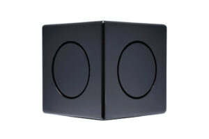 Earthquake MiniMe DSP P63: Kompakt 600W Subwoofer med DSP - Sort